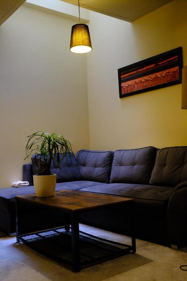 City Apartment Getta Krasków Εξωτερικό φωτογραφία